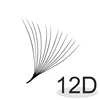 12D