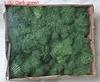 L-02 Dark green
