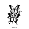 ผีเสื้อ-8543