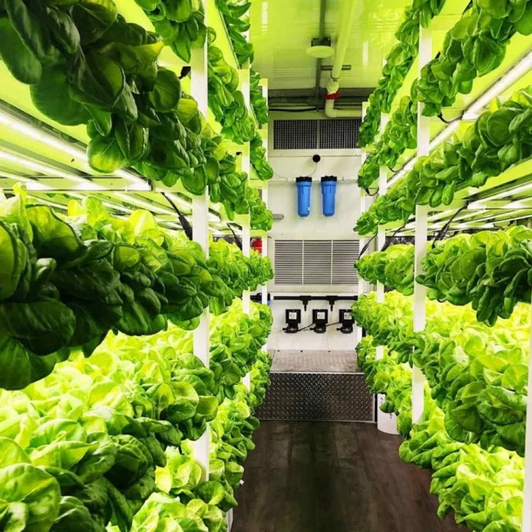 Shipping Container For Smart Future Farm Plant Buy Container Plant