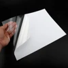 สติกเกอร์ไวนิลเคลือบเงา แผ่นรองหลังใส