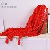 Raya roja de raya de orquídea