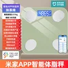 Mi Home app version - Green