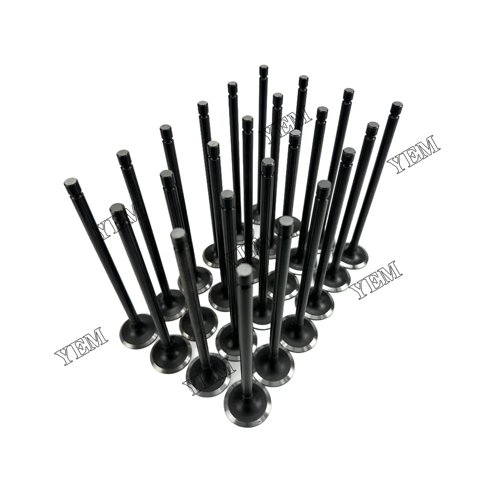Exhaust Intake Valve Fit for Hyundai D6CA Engine 6