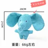 baby elephant