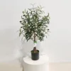 70CM