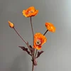 Arancione3