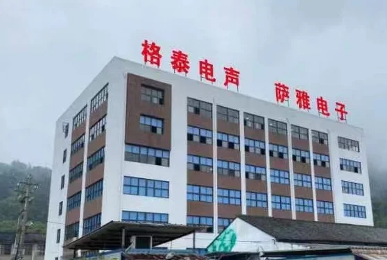 Wenzhou Getai Electroacoustic Co., Ltd. 2