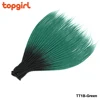 T1B/Vert