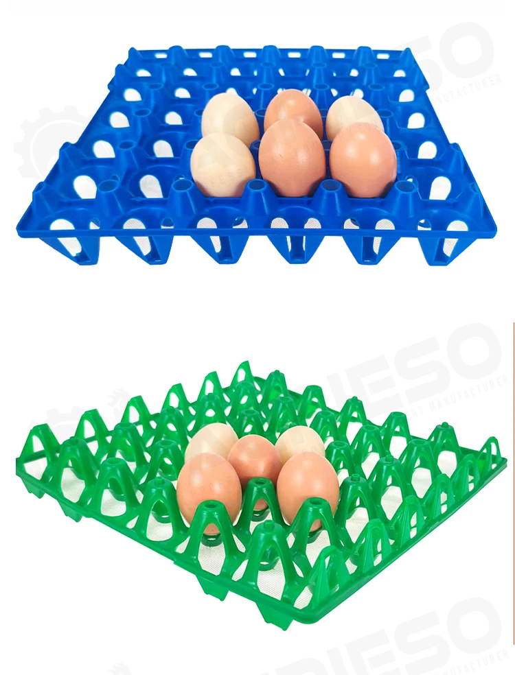 Different Colors 30 Eggs Plastic Tray Transporting Chicken Quail Duck