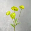 vert pâle