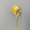 colorful Golden (14 cm