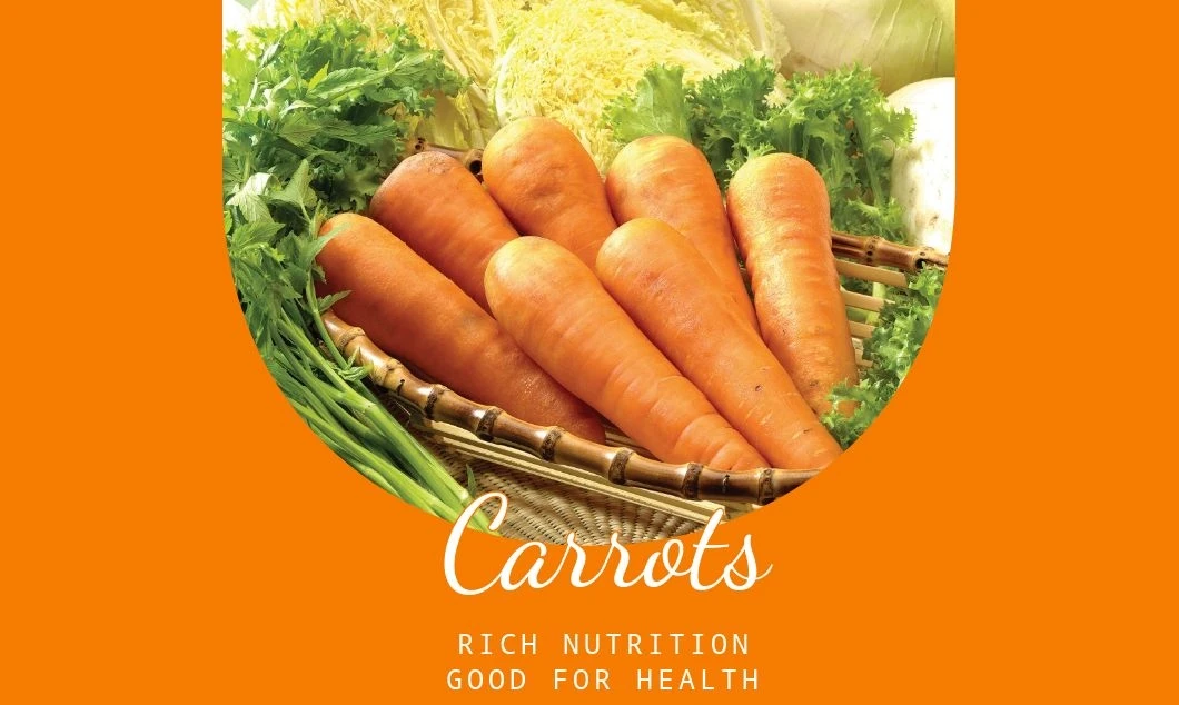 High Quality Direct Wholesale Price for China Origin Farm-Sourced Fresh Carrots Producer