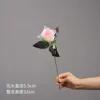 Rose Paon Unique - Rose