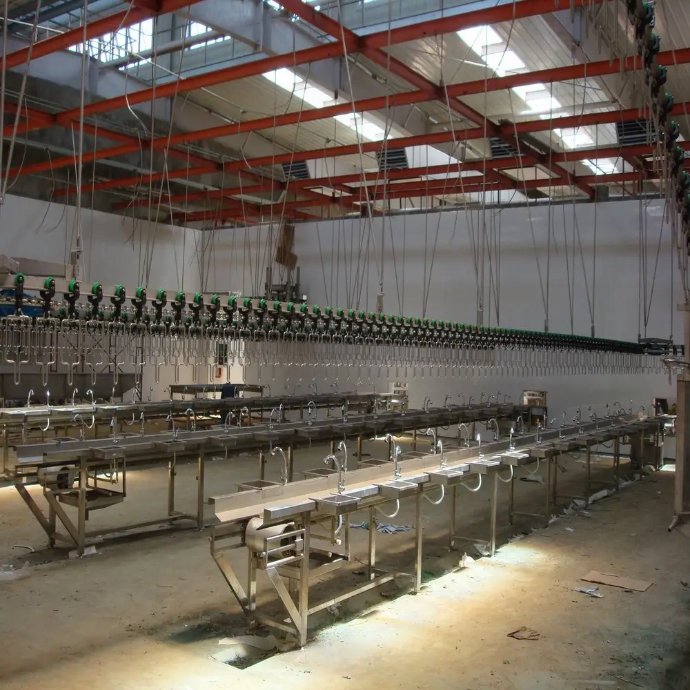 Poultry slaughtering and chicken production line with full set of equipment and machinery
