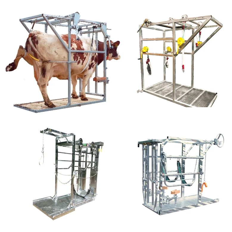 Source Cattle / Cattle Trimming / Electric on m.alibaba.com