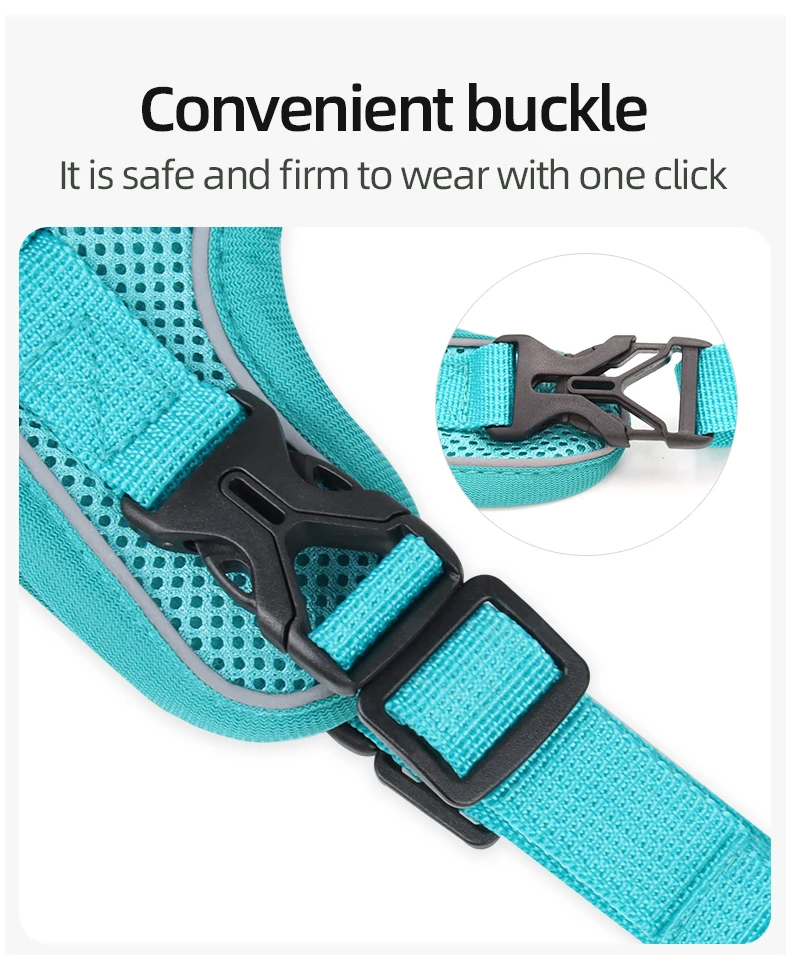 Cat harness and leash 