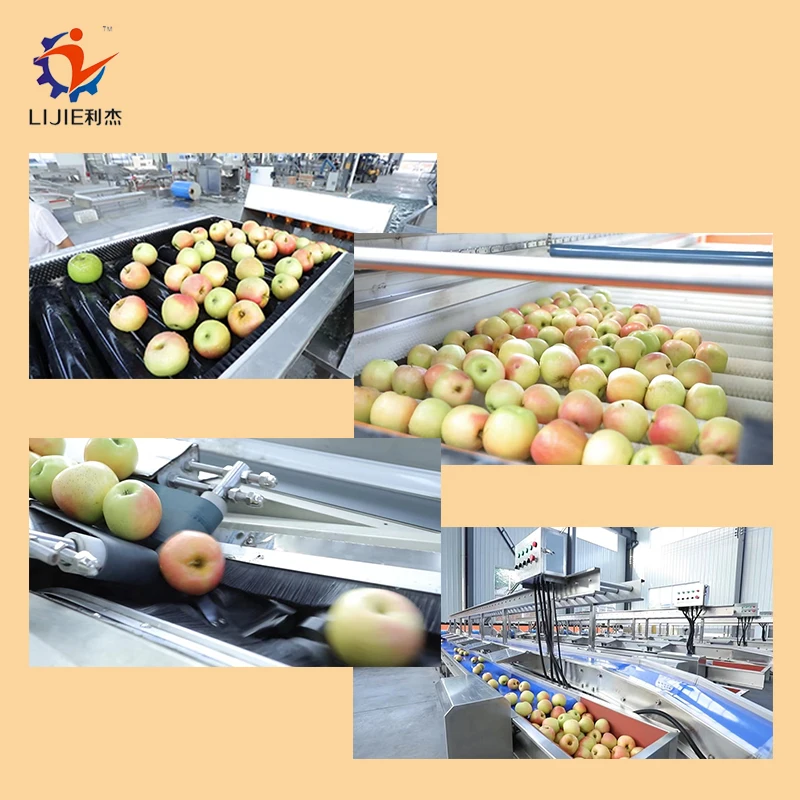 Fruit Grading Machine Apple Grading Line Automatic Fruit and Vegetable ...