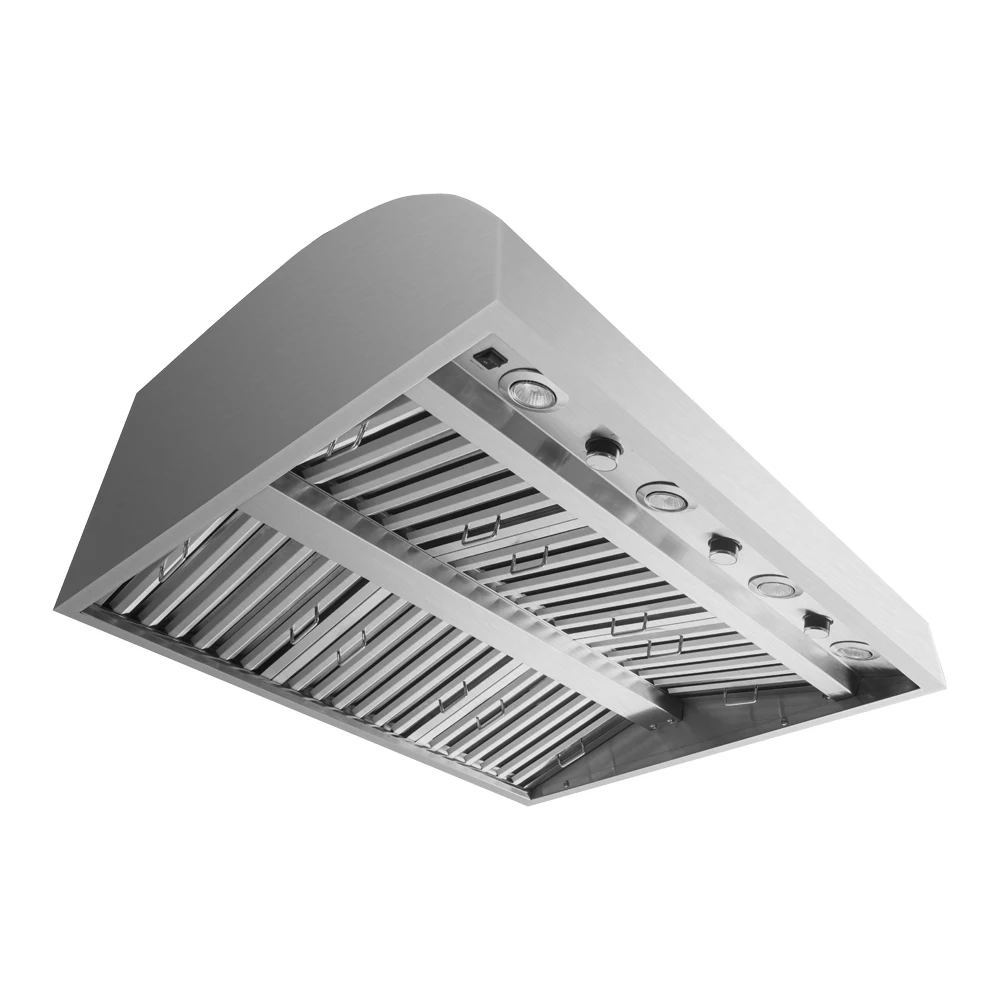 Intelligente Hotte de cuisine en acier inoxydable Type de ventilation pour usage domestique, hôtel, barbecue extérieur Haut rendement pour une meilleure qualité d'air