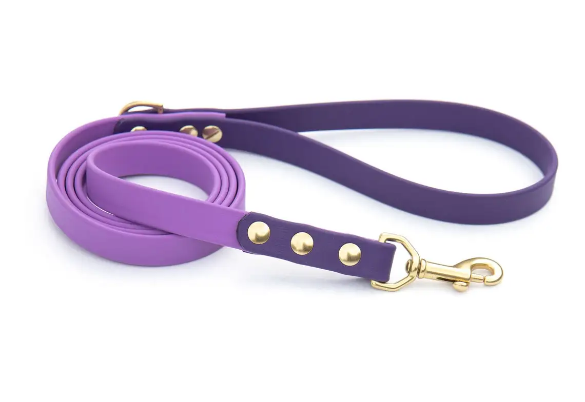 Luxury Rubber Silicone Coated bing Dog Long Lead Grade Custom