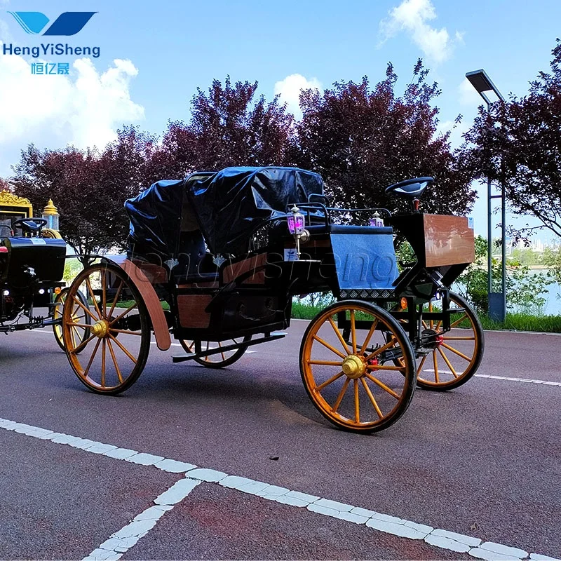 空港/古代博物館のジプシー馬車/リムジン馬車用の中世の馬車