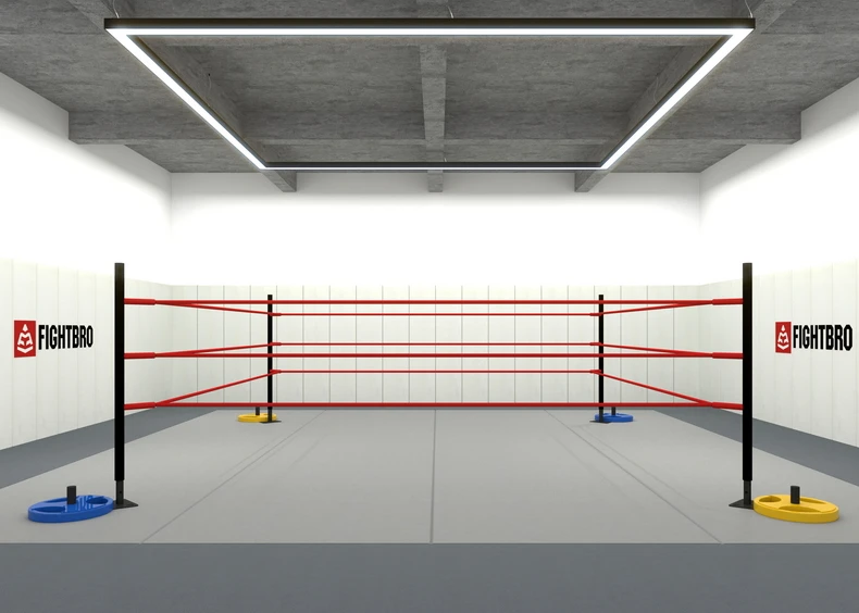 Mini 4x4 Boxing Ring - Compact and Economical Training Space