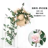 Dreamy Rose Vines - Light Pink