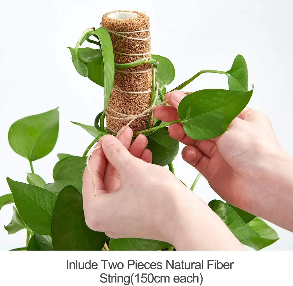 Moss Pole 40cm Indoor Plant Grow Up Support Stackable Moss Poles Made