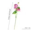A tall lotus with seven heads (deep pink).