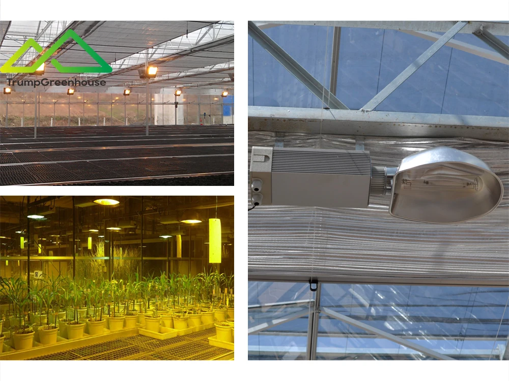 Agricultural Nursery Green Houses Multispan Metal Frame Glass Venlo