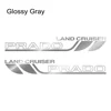 Glossy Gray