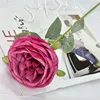 Rose rouge