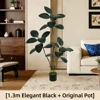 130cm King Kong Tree