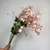 ด้วยสีชมพูใบไม้