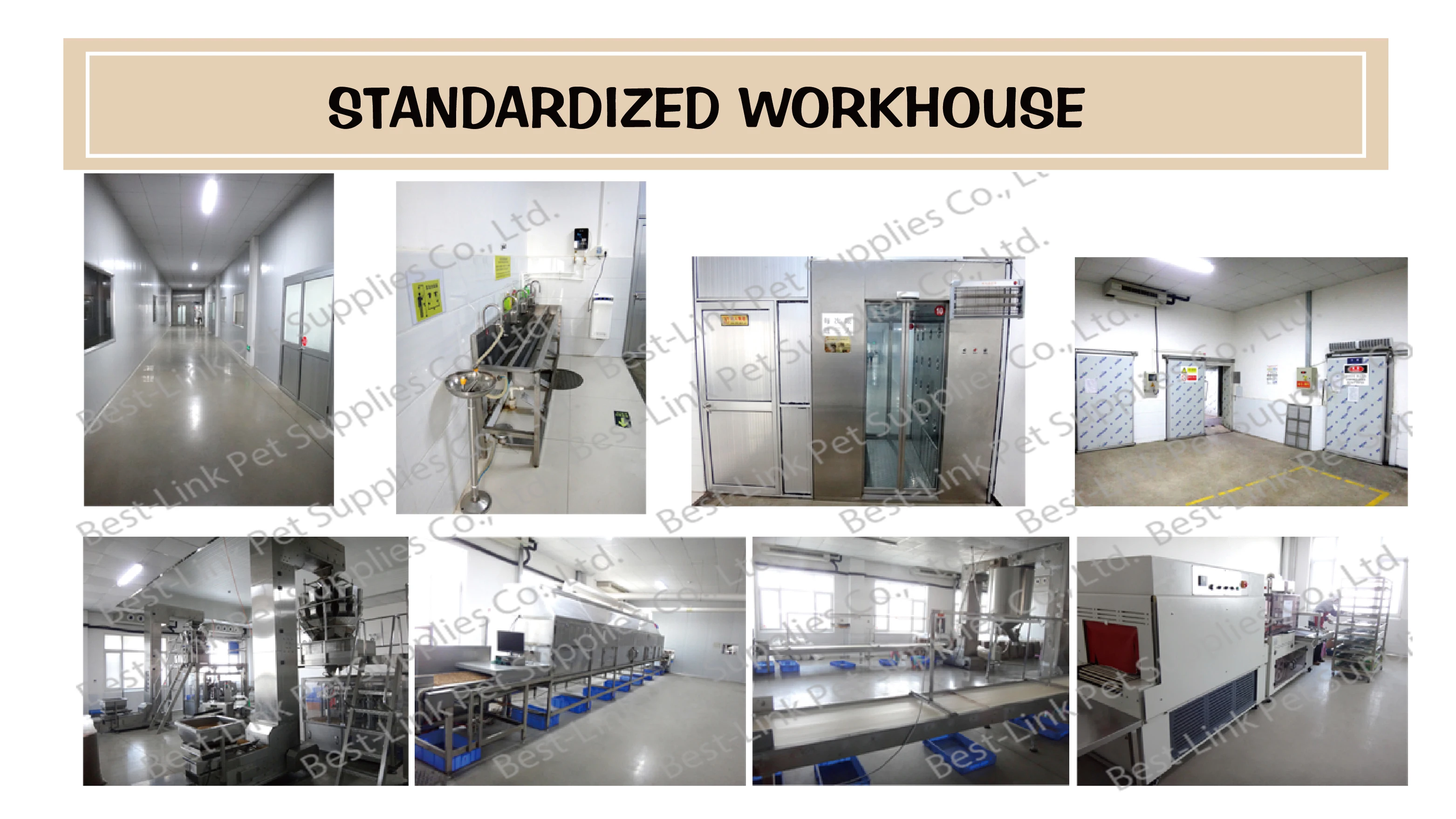 Parrot Food Fruit Bird Hand Feeding Buy Bird Hand Feeding Parrot Food