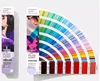 pantone colorido