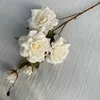 Milky white No. 1