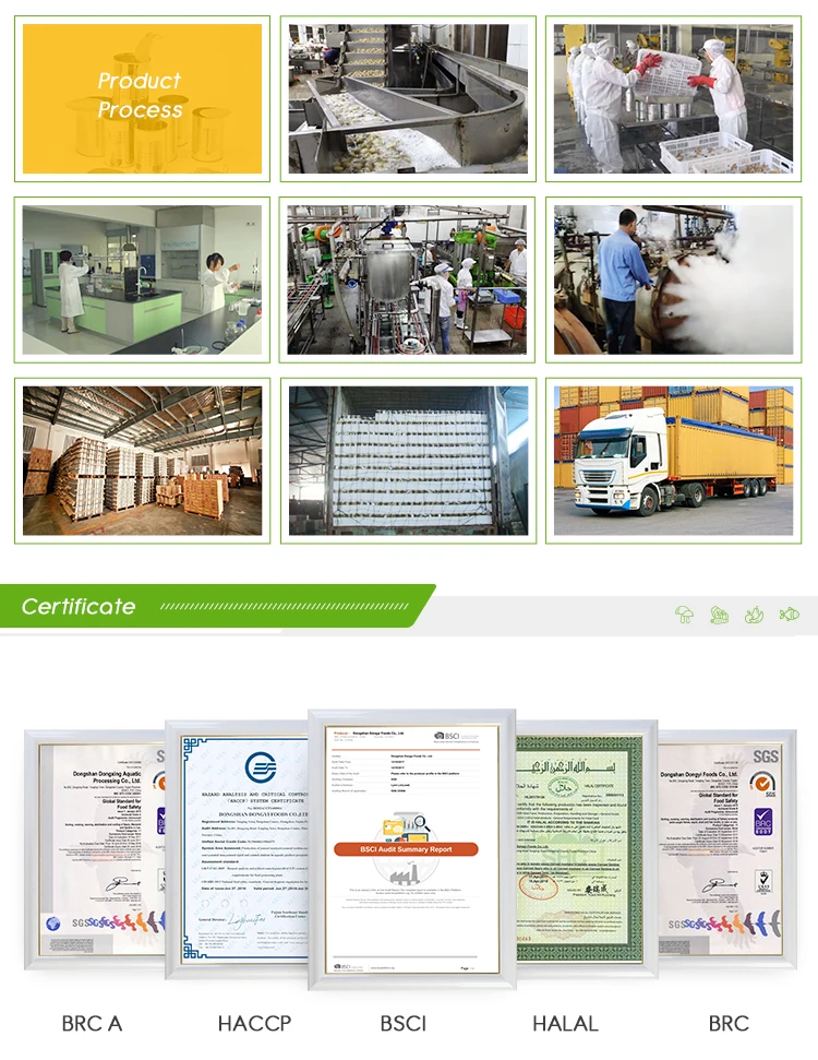 3 Company profile2.jpg
