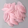 สีชมพู