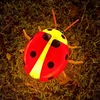 Dynamic ladybug/30CM*29CM