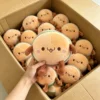 16 peluche (contattaci per il catalogo con oltre 6000 modelli)