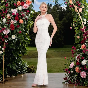 Clothing Manufacturer New Women's Clothing Neck-Hanging Sequin Mermaid Evening Gown Elegant Women's Dress Ladies' Party Wear