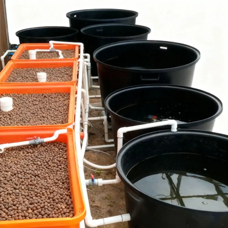 500L耐久性アクアリウムプラスチック水槽・魚・エビ用