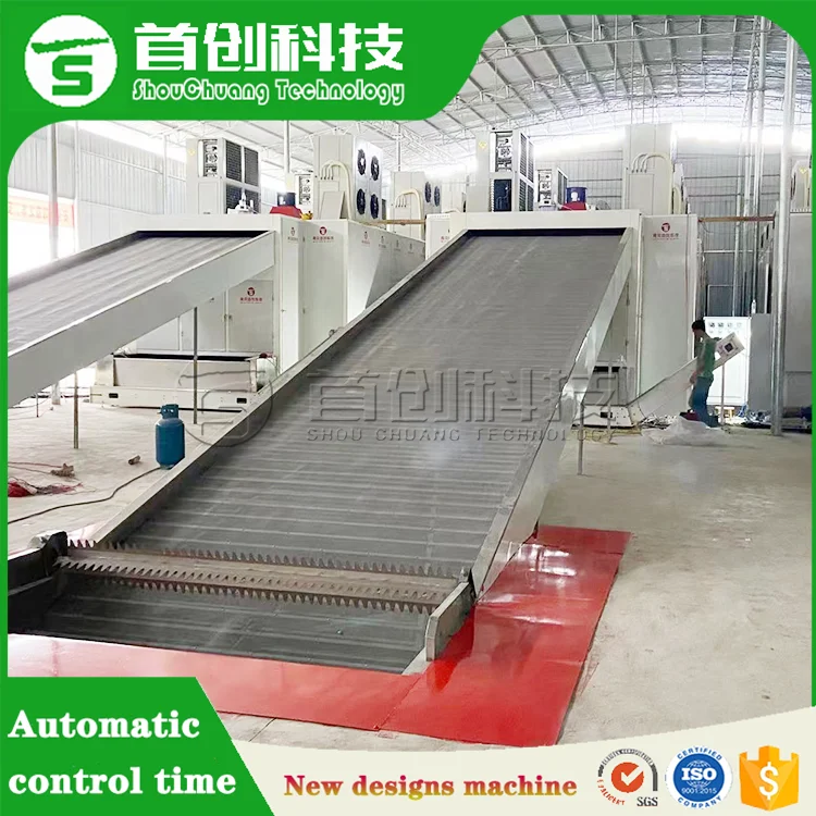 Customized Coffee Beans Drying System Automatic Mesh Belt Type Cocoa Bean Areca Nut Coffee Grounds Drying Dryer Machine Provided