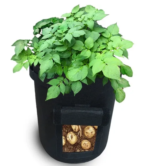 10 Gallon Non-woven Fabric Biodegradable Soilless Culture, Strawberry Mushroom Plant Felt Plant Growth Bag