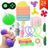 24 pcs fidget sensory toy