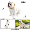 colorido 3594 Bully Dog