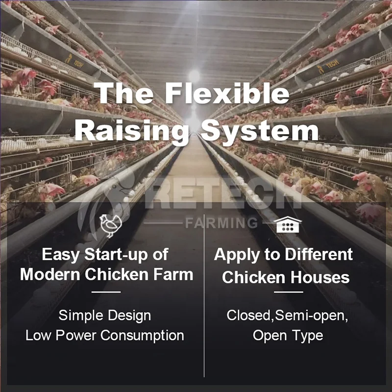 Design Poultry Control Shed Automatic Chicken Layer Battery Cages for Egg Laying Hens