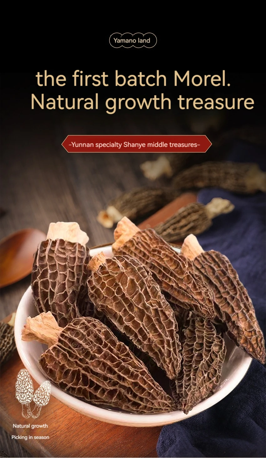 Black Morel Mushroom Dried Wild Morels For Sale Buy Wholesale Bulk Natural Organic Dried Black