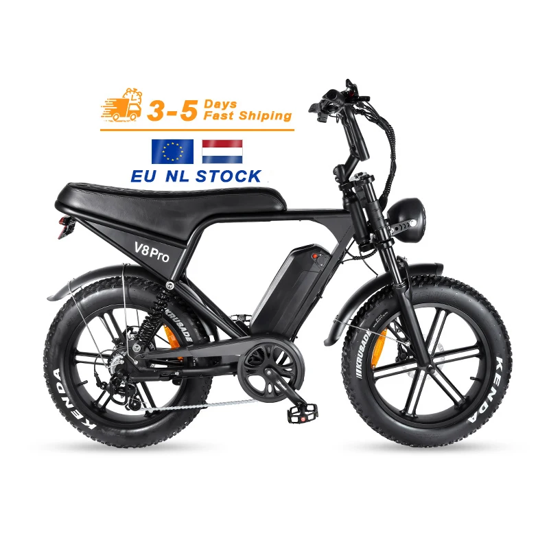V8 Pro 20-Inch Fat Tire All-Terrain Electric Dirt Bike 250W Electric Bicycle 48V Lithium Battery Bicicleta Electric E-Bike Ebike